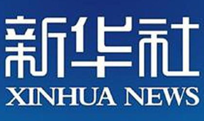 新华社官网,权威信息发布与新闻动态解读平台