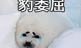 开心一刻幽默笑话正能量句子,幽默笑话中的生活智慧