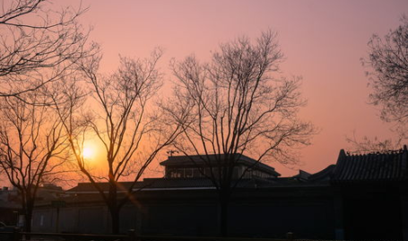 傍晚的太阳打一字,夕阳映照下的温暖时光