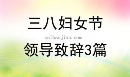 三八妇女节讲话精选,三八妇女节讲话精选回顾”