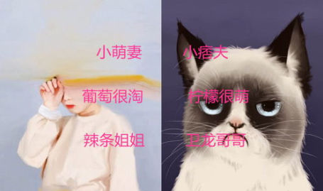 比较幽默的网名,幽默风趣,创意无限,打造个性昵称盛宴!”