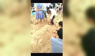 奇闻异事视频素材,探寻不可思议的神秘世界