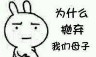 逗比搞笑图片表情包,趣味横生的网络幽默盛宴